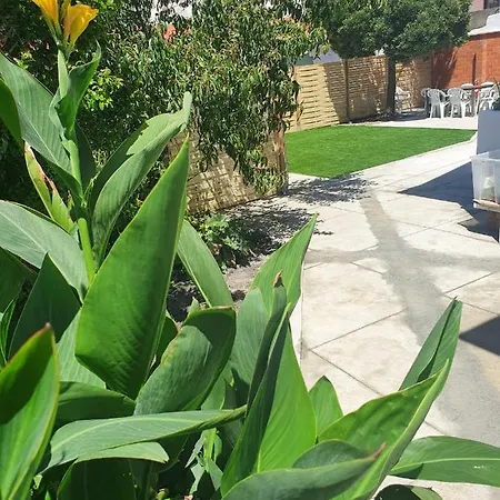 The House بيت للعطل